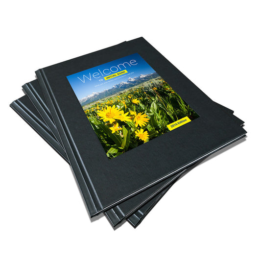 Black Ambassador Cover